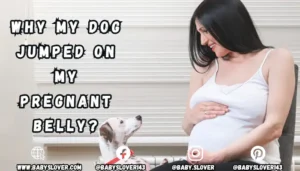 Dog Jumped on Pregnant Belly