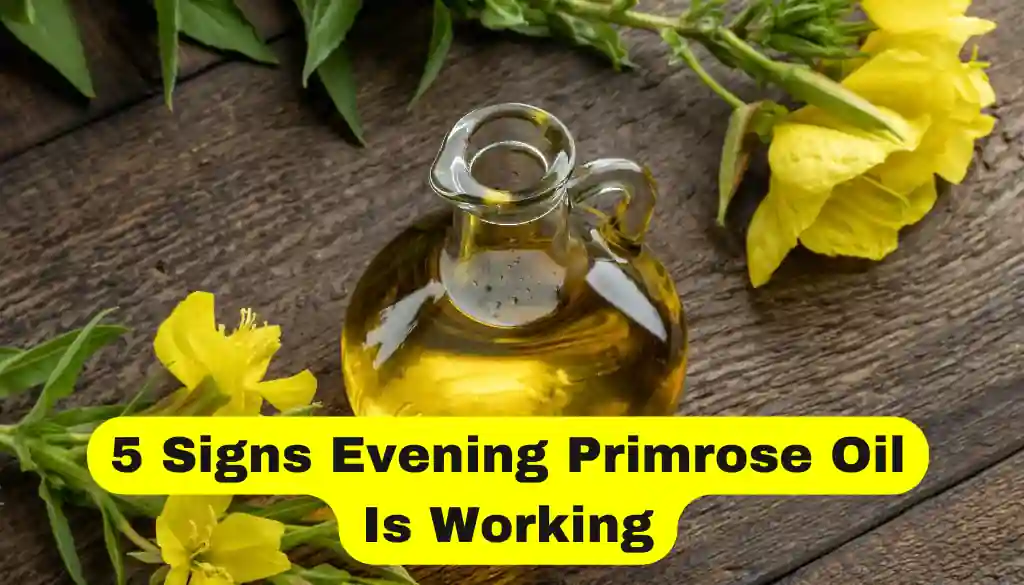 Signs Evening Primrose Oil Is Working