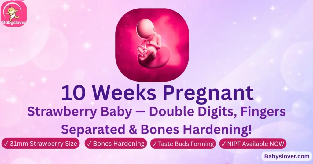 10 weeks pregnant strawberry baby fingers separated hcg peak NIPT testing symptoms development
