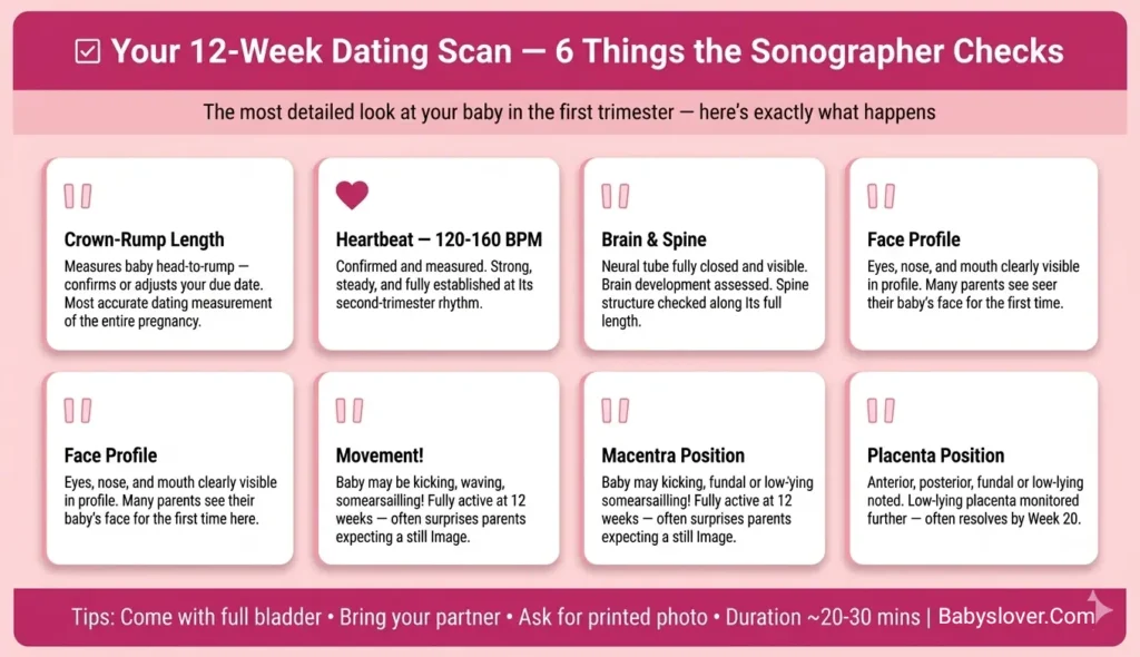 12 week scan dating scan what to expect baby measurements due date NT scan first trimester ultrasound guide