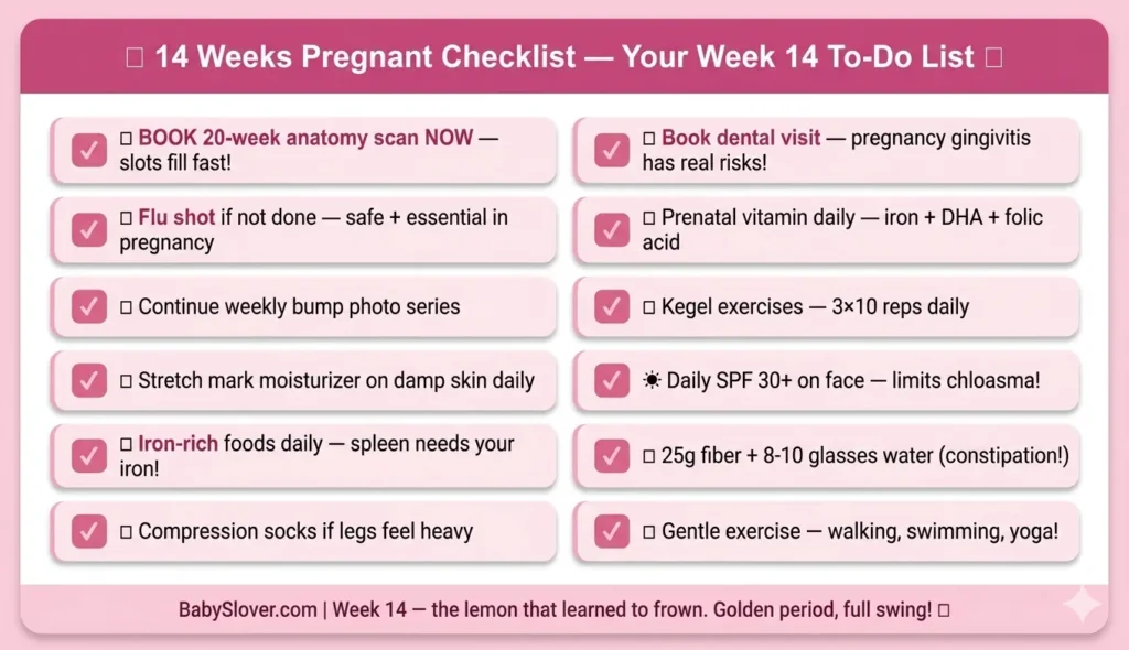 14 weeks pregnant checklist anatomy scan booking dental visit flu shot SPF chloasma iron foods compression socks week 14