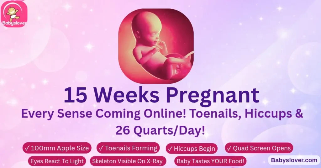 15 weeks pregnant apple baby taste buds fully developed skeleton x-ray visible light sensitivity toenails forming hiccups second trimester