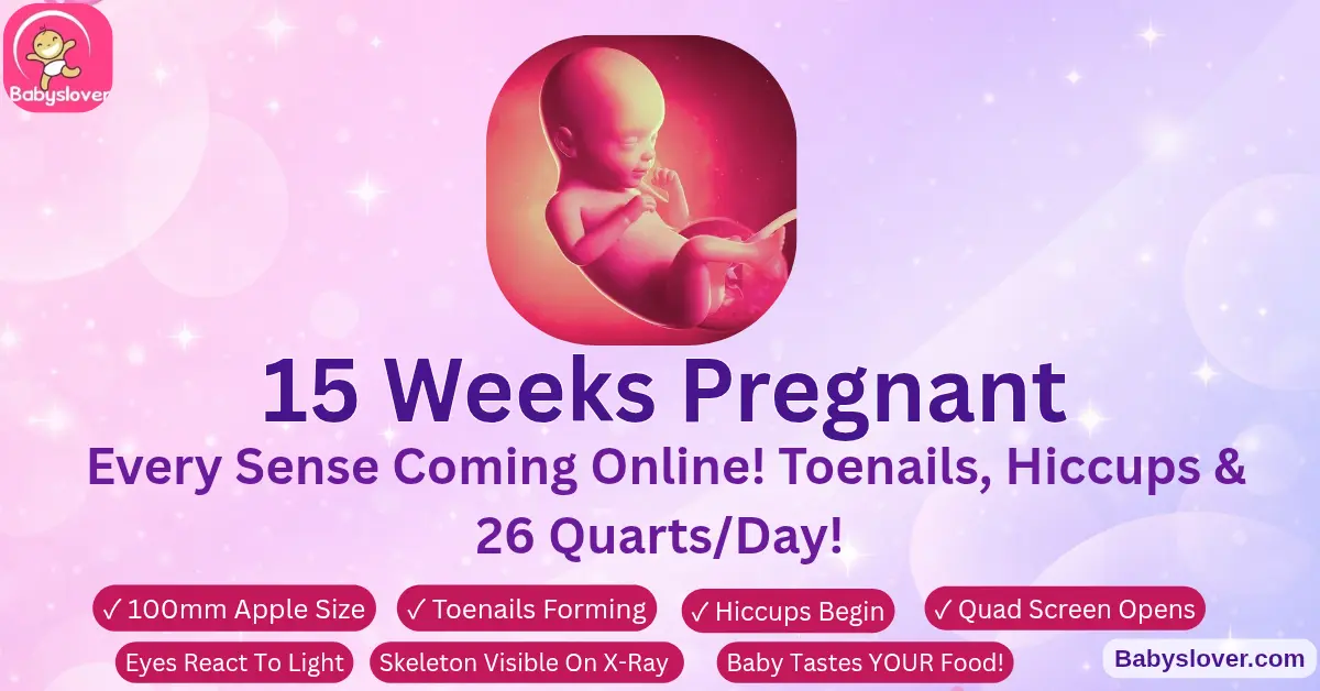 15 weeks pregnant apple baby taste buds fully developed skeleton x-ray visible light sensitivity toenails forming hiccups second trimester