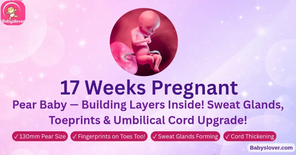 17 weeks pregnant pear baby vernix caseosa protective coating skeleton cartilage to bone fat deposits sweat glands fingerprints toes second trimester
