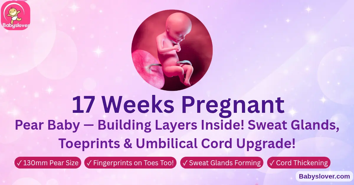17 weeks pregnant pear baby vernix caseosa protective coating skeleton cartilage to bone fat deposits sweat glands fingerprints toes second trimester