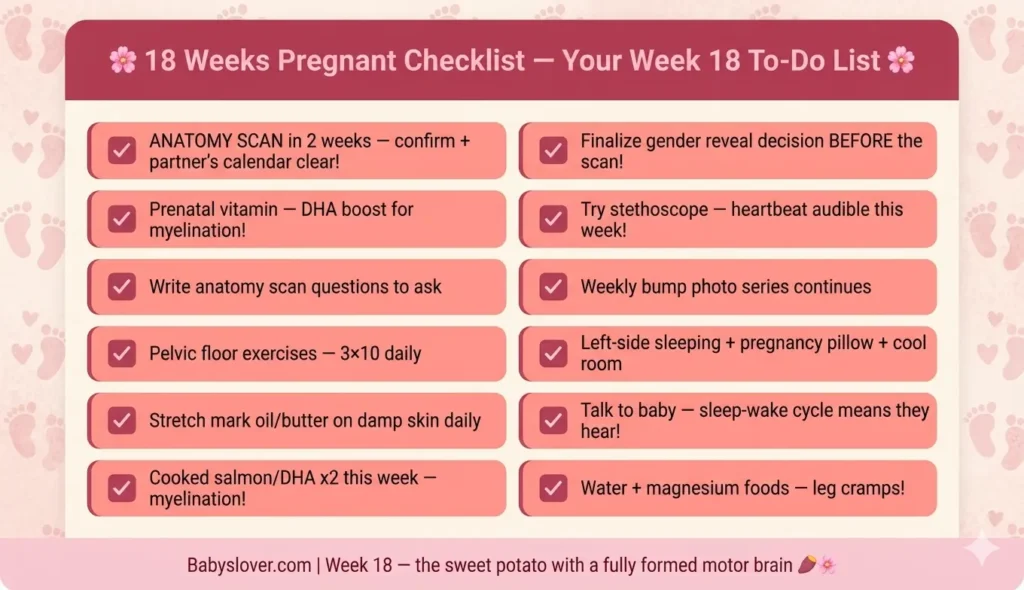 18 weeks pregnant checklist anatomy scan preparation gender reveal stethoscope heartbeat DHA myelination magnesium leg cramps week 18