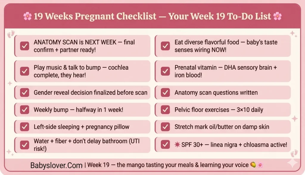 19 weeks pregnant checklist anatomy scan next week flavorful food baby tastes music talk belly DHA iron UTI prevention linea nigra SPF week 19