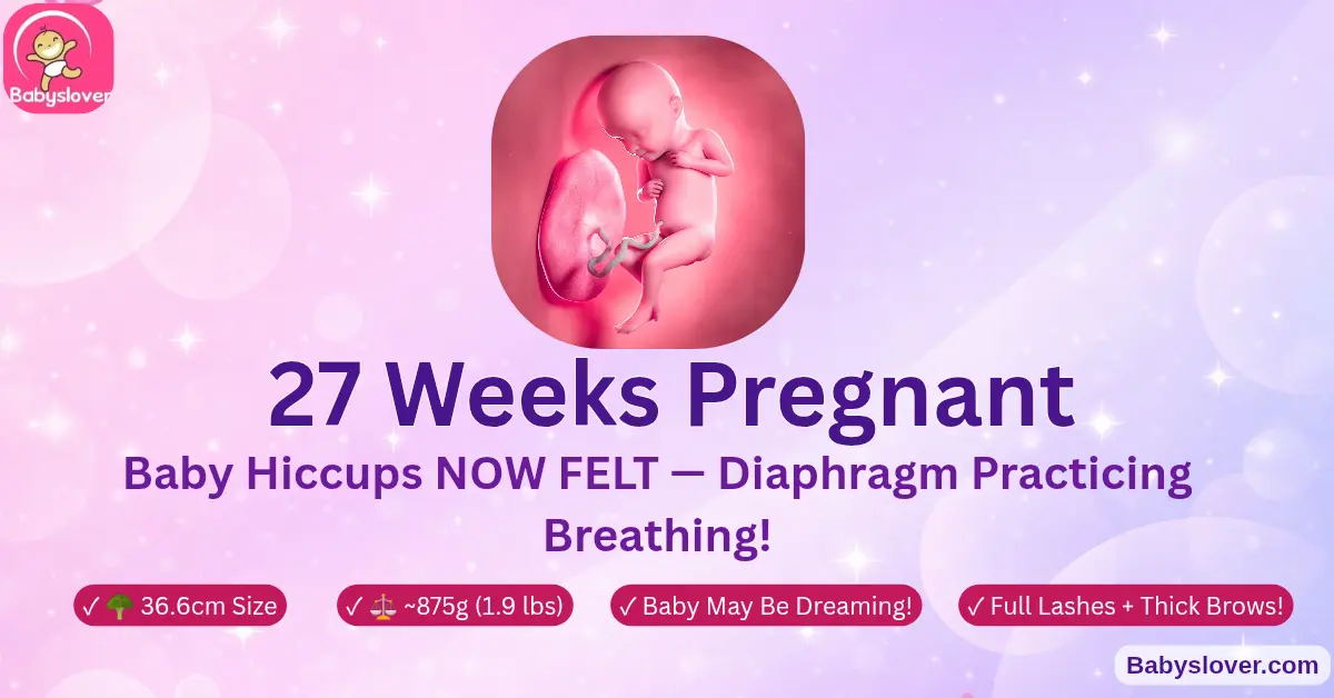 27 weeks pregnant broccoli baby third trimester begins hiccups diaphragm breathing practice sleep wake REM cycles eyelashes complete 875 grams 36cm