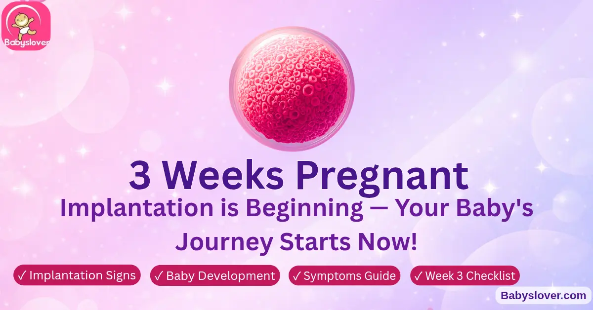 3 weeks pregnant symptoms implantation signs and baby development