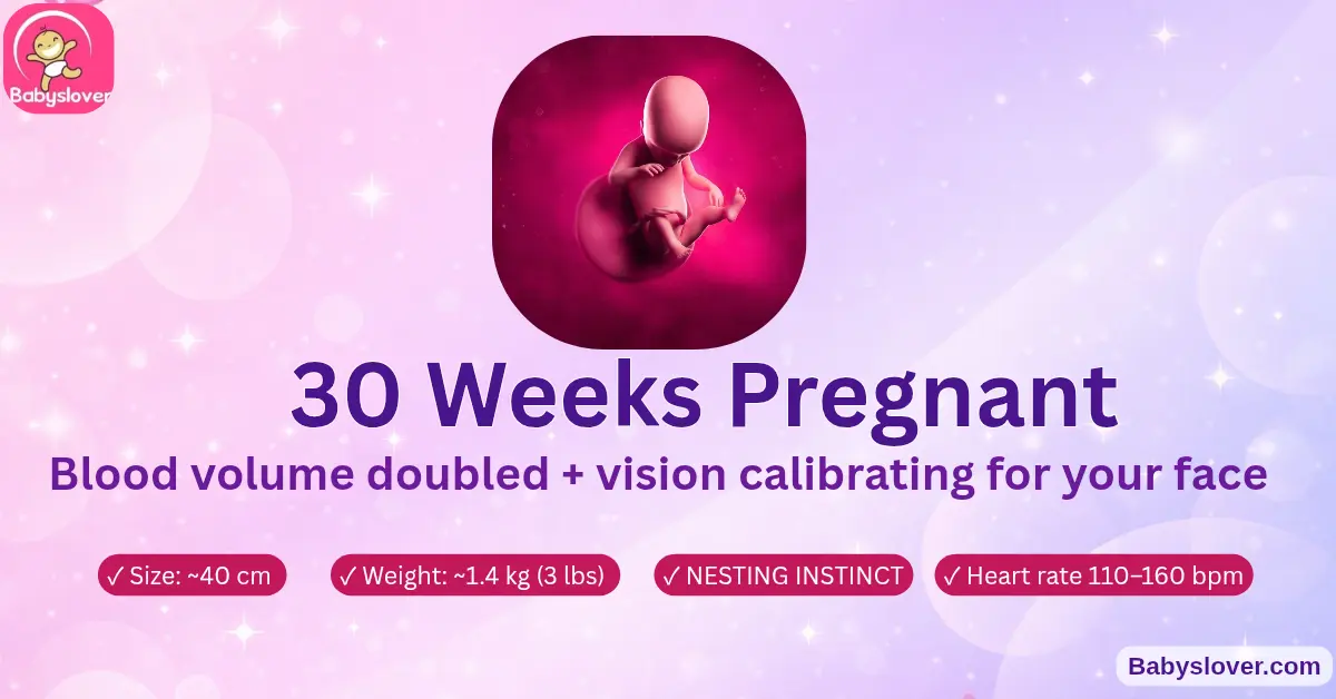 30 weeks pregnant baby size symptoms and development guide