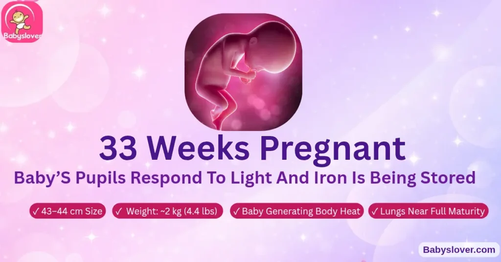 33 weeks pregnant baby size symptoms pineapple development 