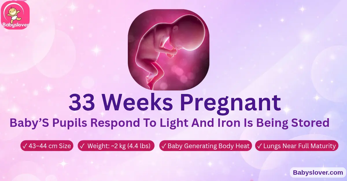 33 weeks pregnant baby size symptoms pineapple development
