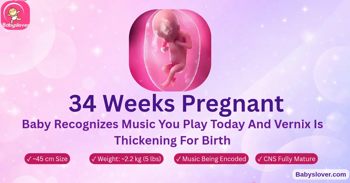 34 weeks pregnant baby size symptoms cantaloupe development