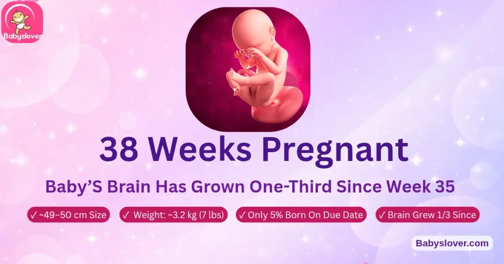 38 weeks pregnant baby size symptoms rhubarb development early term