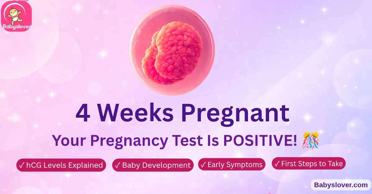 4 weeks pregnant symptoms positive test hCG levels baby development week 4