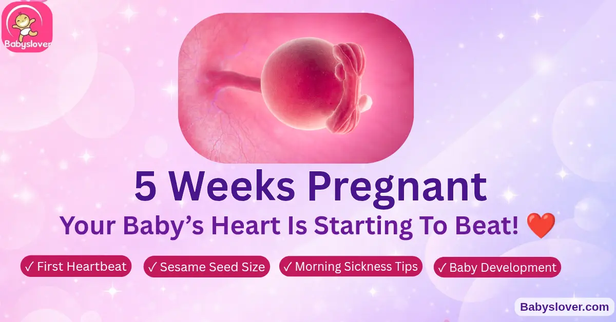 5 weeks pregnant symptoms heartbeat sesame seed baby development first trimester