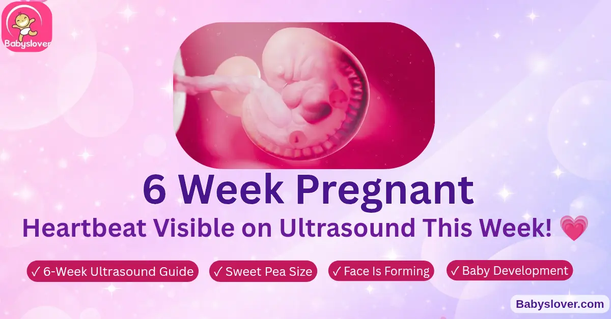 6 weeks pregnant symptoms ultrasound heartbeat sweet pea baby development