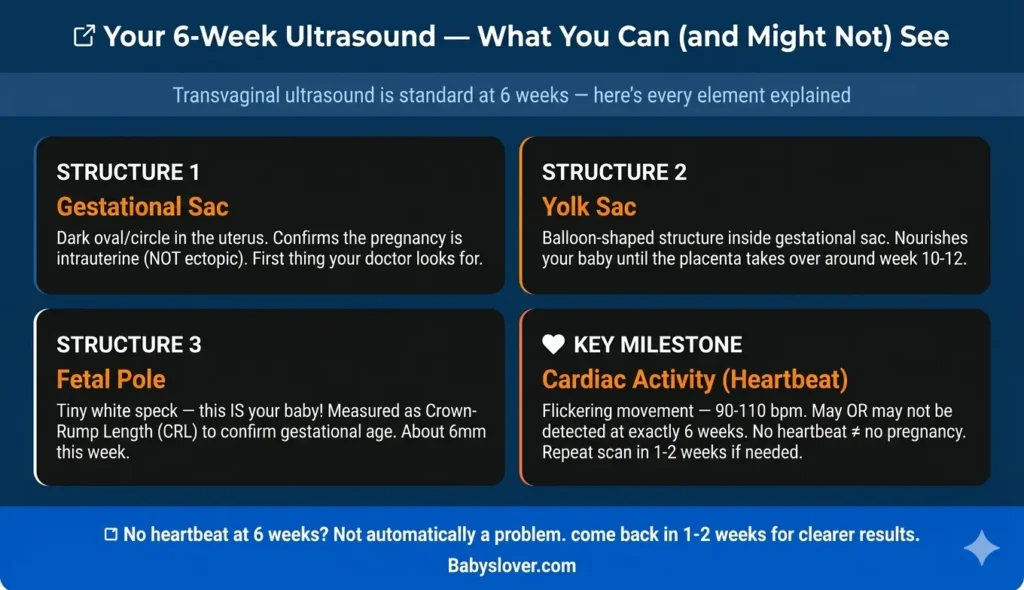 6 week ultrasound what to see gestational sac yolk sac fetal pole heartbeat