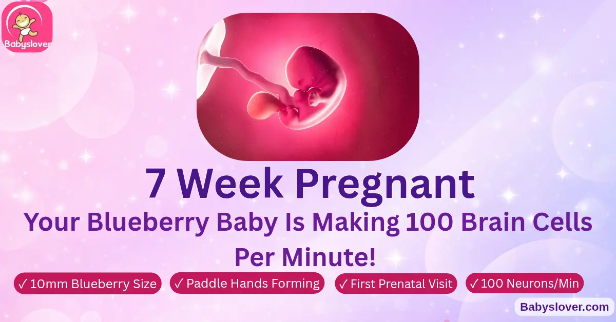 7 weeks pregnant symptoms blueberry baby size first prenatal visit brain development