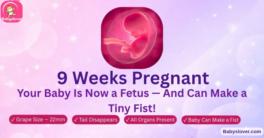 9 weeks pregnant symptoms grape size embryo to fetus milestone baby development week 9