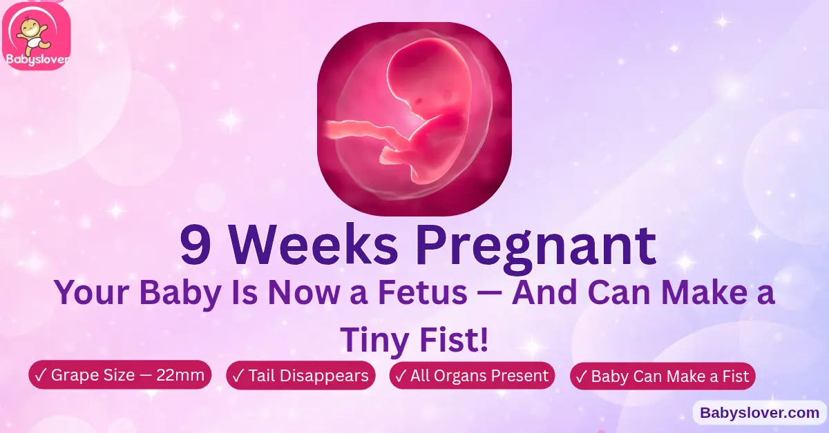 9 weeks pregnant symptoms grape size embryo to fetus milestone baby development week 9