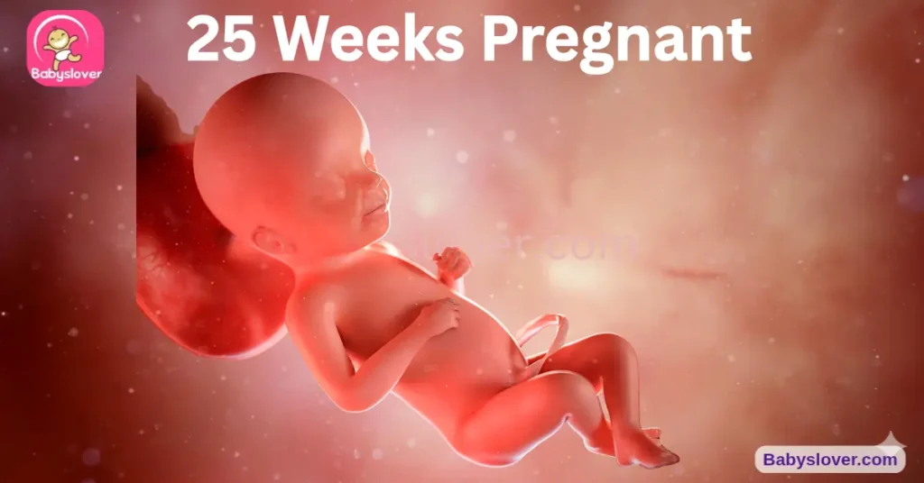 25 weeks pregnant, 25 weeks pregnant symptoms, baby size 25 weeks, 25 weeks pregnant baby development, eyelids opening 25 weeks, capillaries skin pink 25 weeks, 6 months pregnant, restless leg syndrome pregnancy, 25 weeks pregnant belly, touch bump baby responds, hair growing head 25 weeks, startle reflex 25 weeks, vision changes pregnancy blurry eyes, belly itching stretching pregnancy, leg cramps pregnancy second trimester, 25 weeks pregnant movement, 25 weeks pregnant weight gain, third trimester three weeks away, 25 weeks pregnant back pain, rutabaga baby size