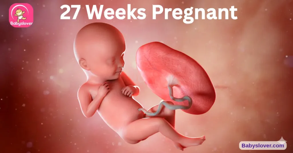 baby development at 27 weeks pregnant broccoli hiccups diaphragm breathing practice REM sleep wake cycles eyelashes eyebrows complete nervous system maturing fastest