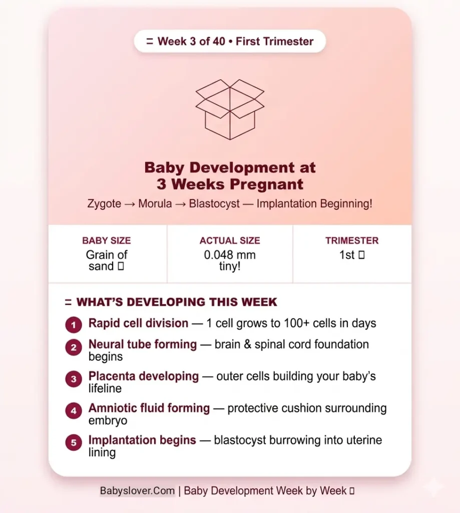 3 weeks pregnant, implantation, early pregnancy, pregnancy week by week, fertilization, hCG