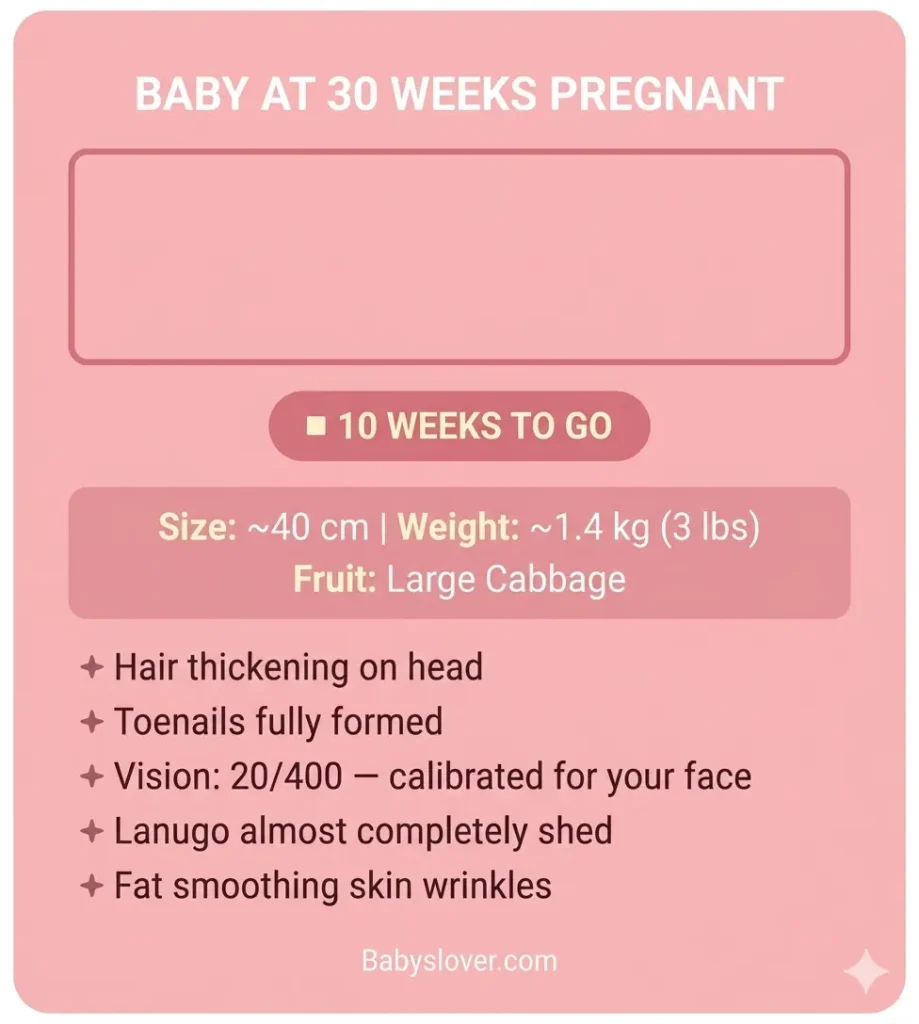 baby development at 30 weeks pregnant size weight cabbage milestones