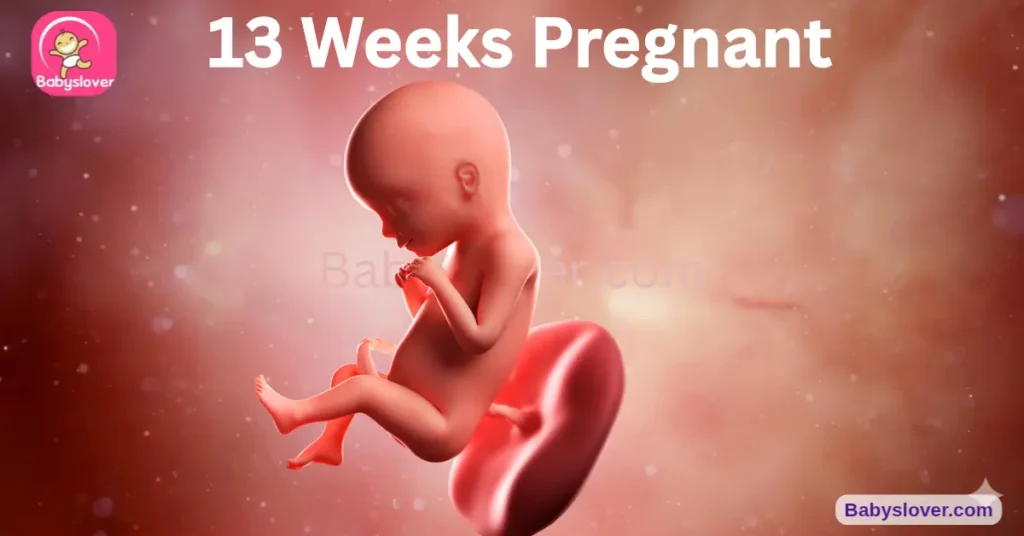 13 weeks pregnant, 13 weeks pregnant symptoms, baby size 13 weeks, peach baby, second trimester begins, fingerprints forming, thumb sucking, colostrum, 13 week ultrasound, golden period pregnancy, baby development week 13, first trimester over, lanugo, stretch marks