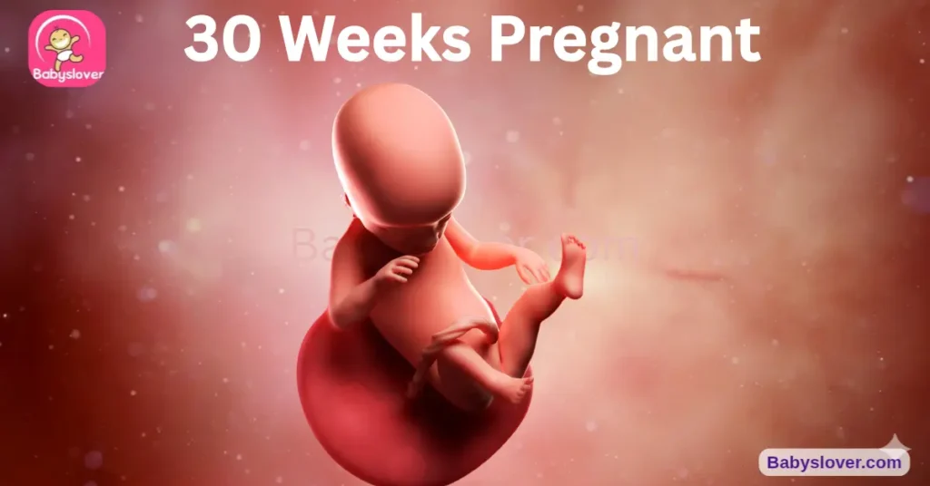30 Weeks Pregnant: Baby Size, Symptoms & Development