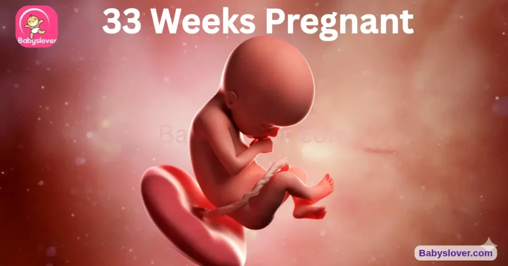 Baby Development 33 Weeks Pregnant Baby Belly Size.Length ,Weight,Hcg Level