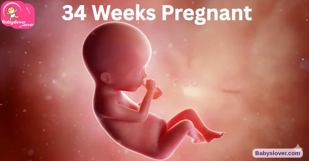 Baby Development 34 Weeks Pregnant Baby Belly Size.Length ,Weight,Hcg Level