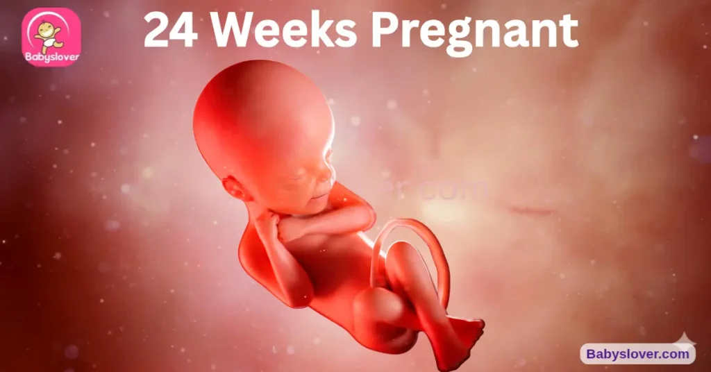 24 weeks pregnant, 24 weeks pregnant viability, viability week 24 survival rates, gestational diabetes screening 24 weeks, glucose challenge test pregnancy, baby size 24 weeks ear of corn, 24 weeks pregnant symptoms, eyelids opening 24 weeks, taste buds 24 weeks pregnant, 24 weeks pregnant belly, anemia pregnancy 24 weeks, round ligament pain 24 weeks, linea nigra pregnancy, 24 weeks pregnant baby development, what to expect 24 weeks pregnant, 24 weeks pregnant movement, 24 weeks pregnant weight gain, third trimester approaching, 24 week ultrasound, pregnancy brain 24 weeks