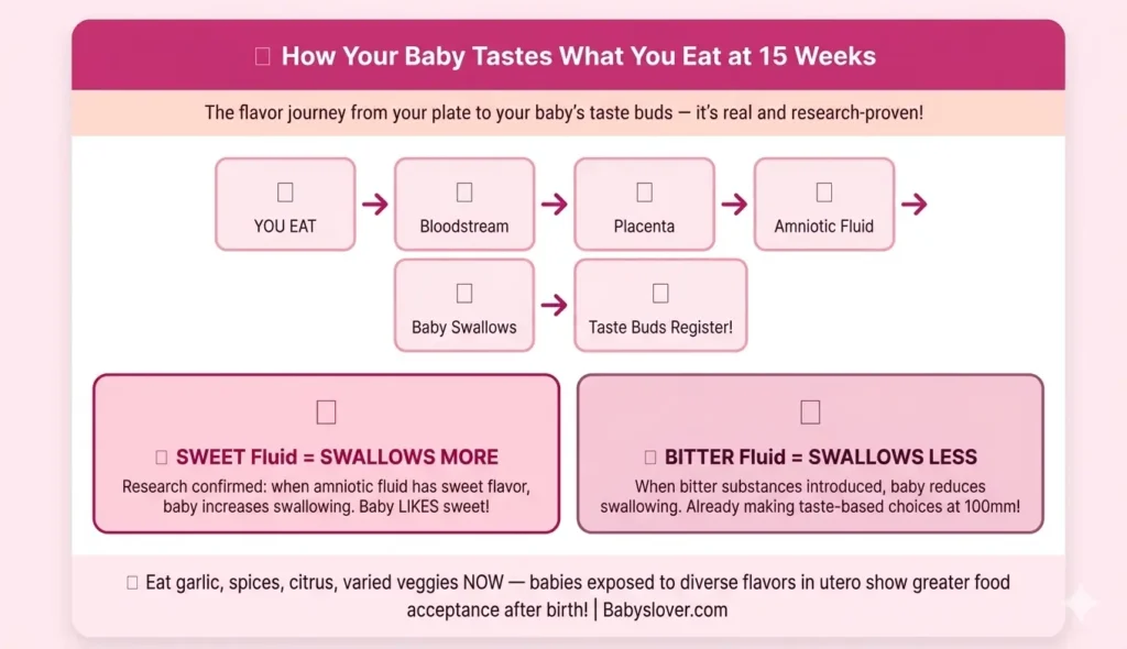 baby taste buds amniotic fluid 15 weeks pregnant what you eat baby tastes flavor preferences early food exposure sweet bitter