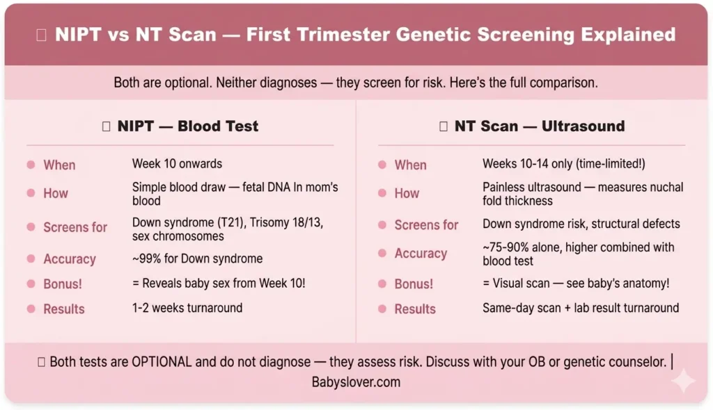 NIPT vs NT scan first trimester genetic testing guide 10 weeks pregnant what to know
