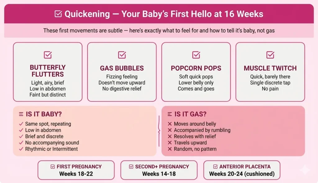 quickening 16 weeks pregnant first baby movements flutters butterflies gas bubbles what does it feel like first second pregnancy timing