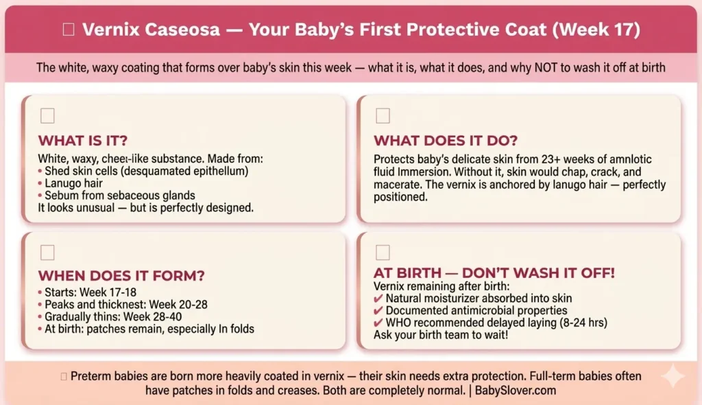 vernix caseosa 17 weeks pregnant what is it white waxy coating protects baby skin amniotic fluid delay first bath after birth